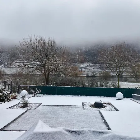 Mini- In Koblenz Direkt An Der Mosel